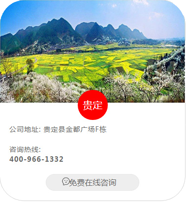 贵定